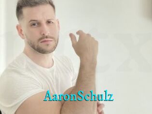 AaronSchulz