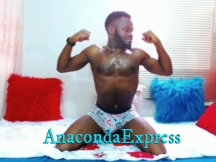 AnacondaExpress