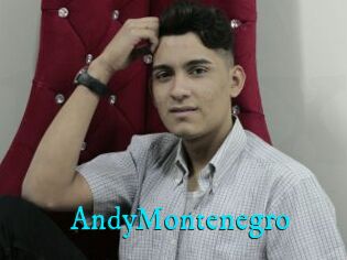 AndyMontenegro