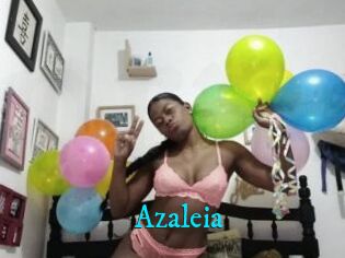 Azaleia