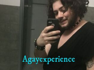 Agayexperience