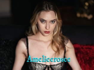 Amelieerosee