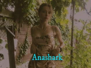 Anashark