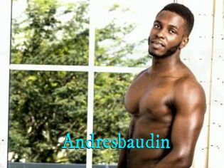 Andresbaudin