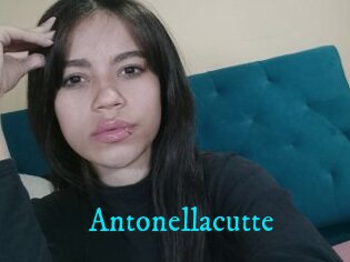 Antonellacutte