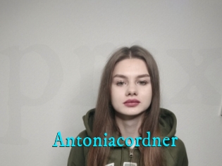 Antoniacordner