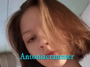 Antoniacrammer