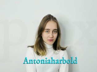 Antoniaharbold