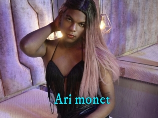 Ari_monet