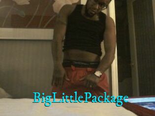 BigLittlePackage