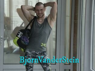 BjornVanderStein