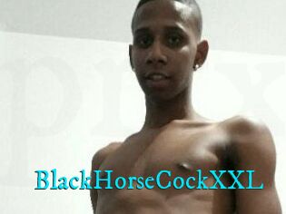 BlackHorseCockXXL