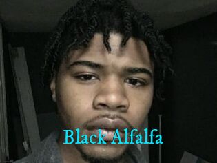 Black_Alfalfa