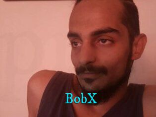 BobX