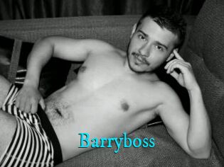 Barryboss