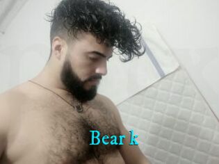 Bear_k