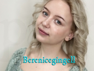 Berenicegingell