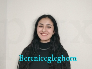 Berenicegleghorn