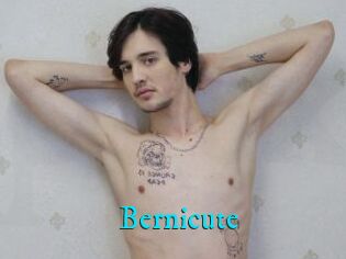 Bernicute