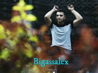 Bigassalex