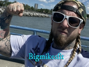 Bigmikesfit