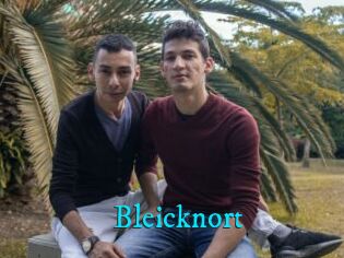 Bleicknort