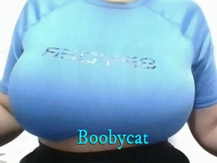 Boobycat