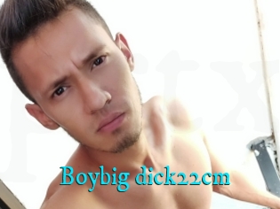 Boybig_dick22cm