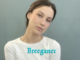 Breeganet