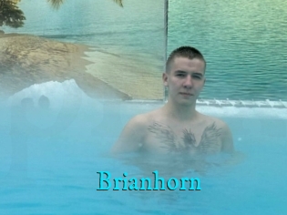 Brianhorn