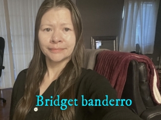 Bridget_banderro