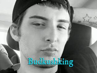 Budkushking