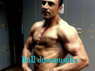 Bull_dosemuscles