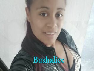 Bushalice