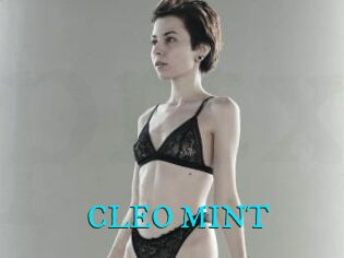 CLEO_MINT