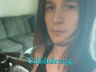 Calidude1134