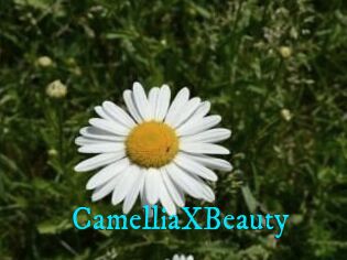 Camellia_XBeauty