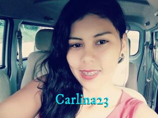 Carlina23