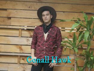 Conall_Hawk