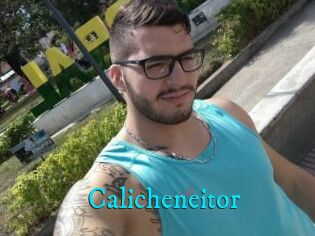 Calicheneitor