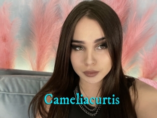 Cameliacurtis