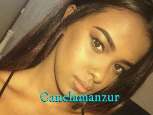 Canelamanzur