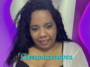 Cassandratropea