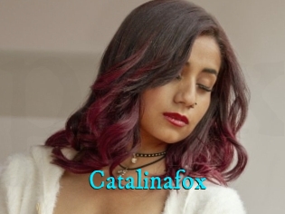 Catalinafox