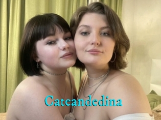 Cateandedina