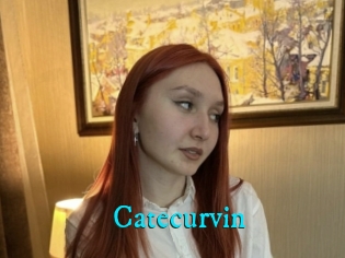 Catecurvin