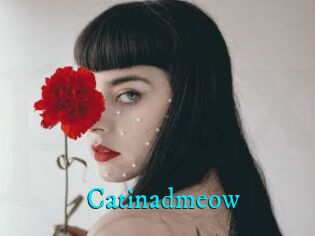 Catinadmeow