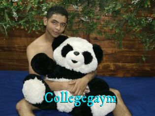 Collegegaym