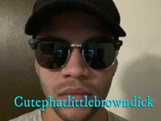 Cutephatlittlebrowndick