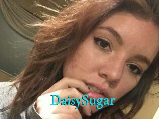 Daisy_Sugar